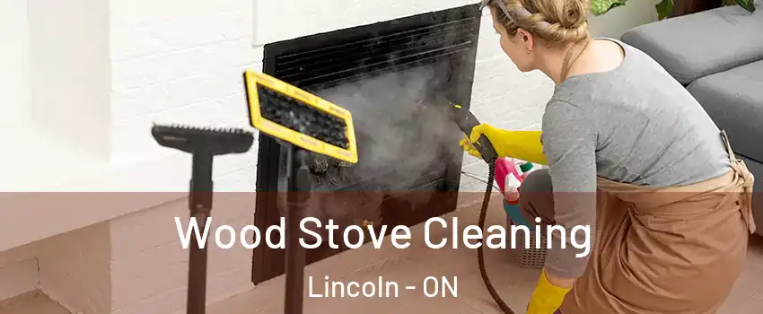  Wood Stove Cleaning Lincoln - ON