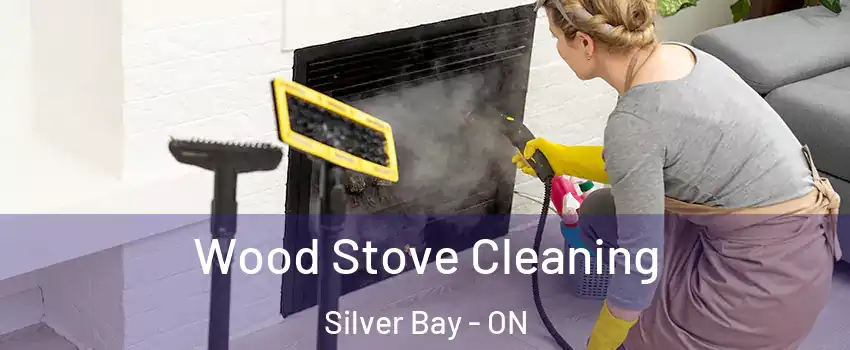  Wood Stove Cleaning Silver Bay - ON